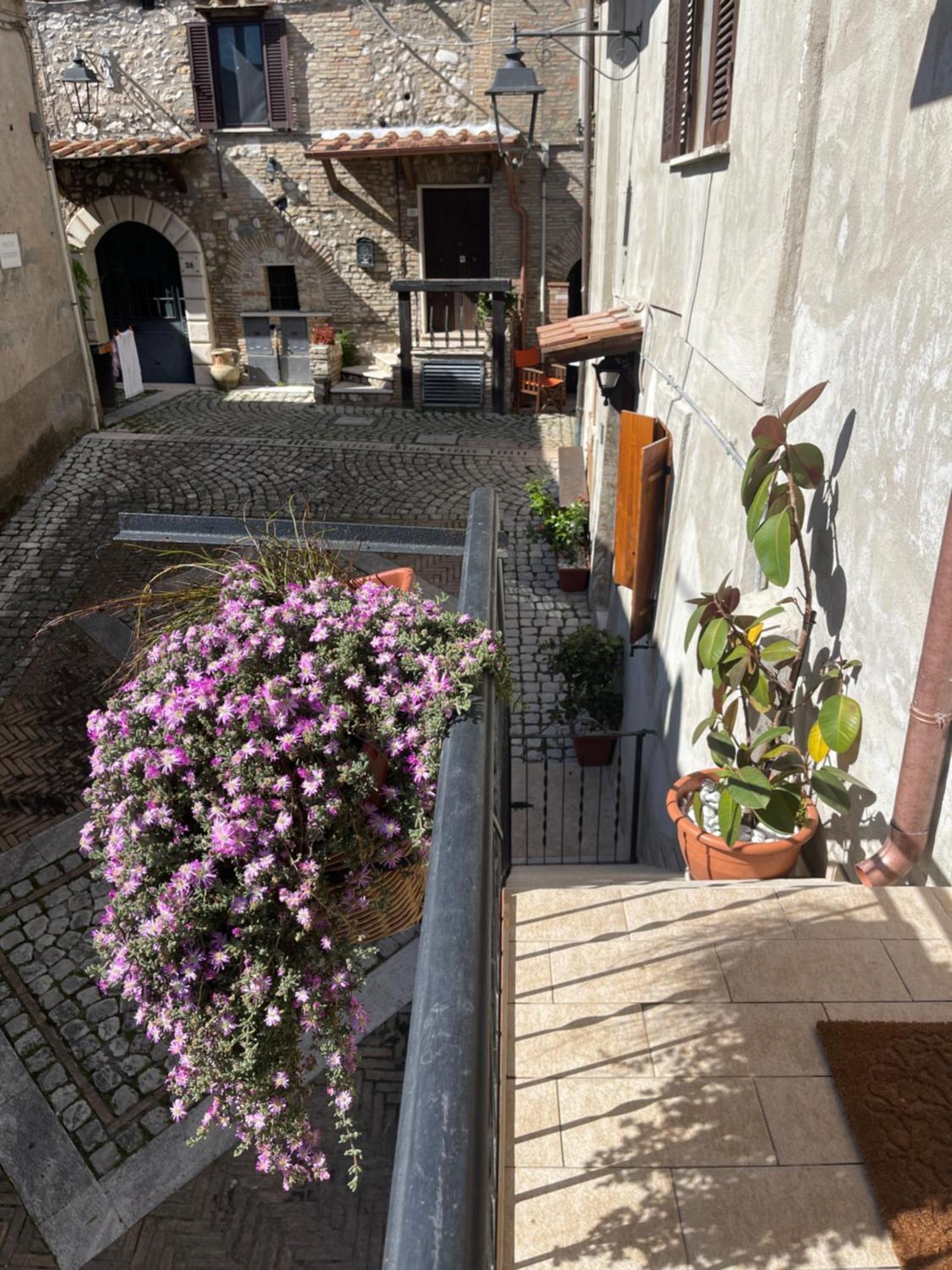 Apartament Il Borghetto Mentana Zewnętrze zdjęcie