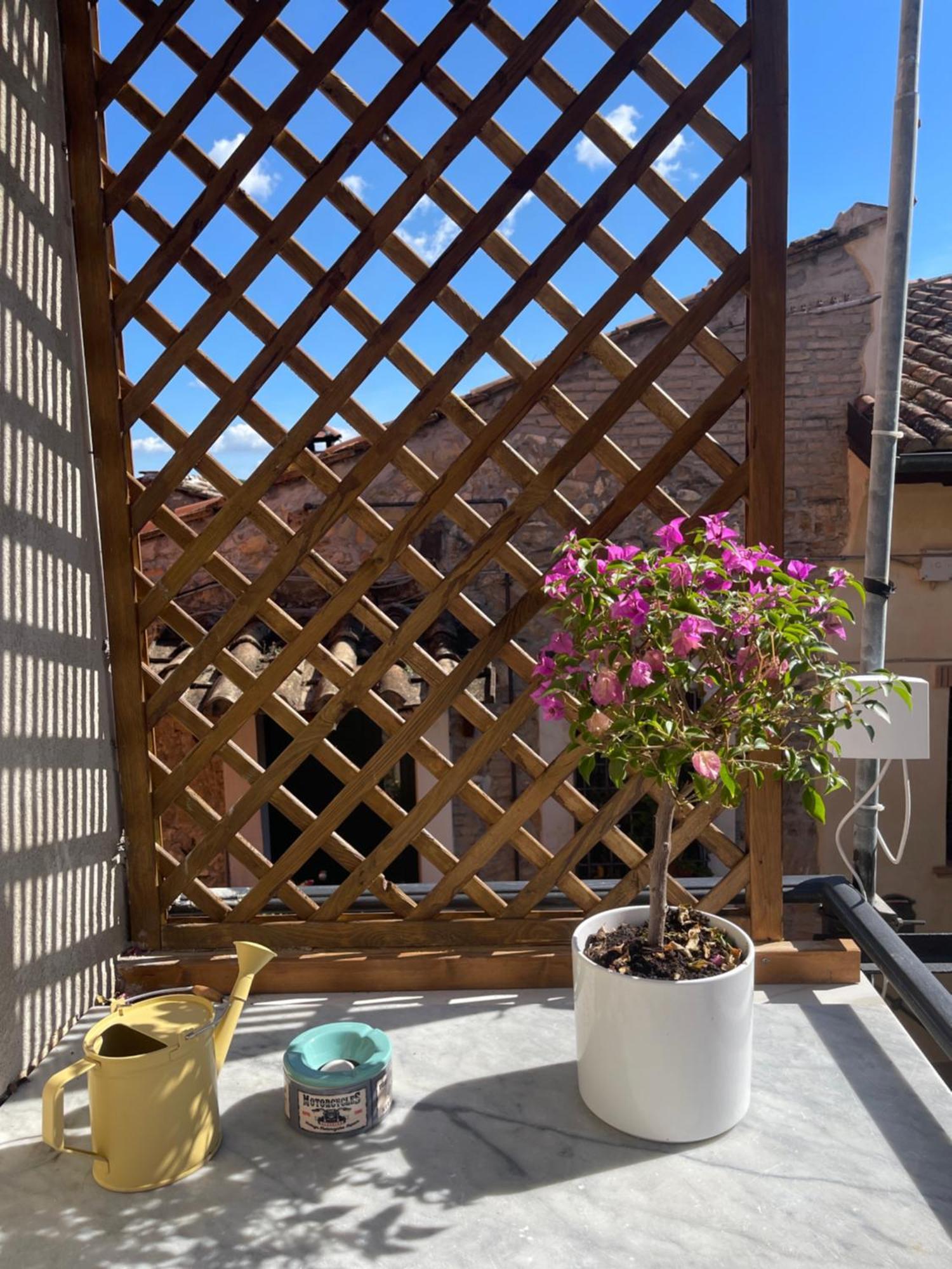 Apartament Il Borghetto Mentana Zewnętrze zdjęcie
